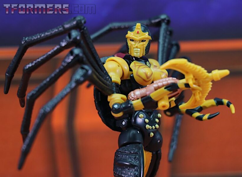 Transformers Kingdom Blackarachnia  (3 of 46)